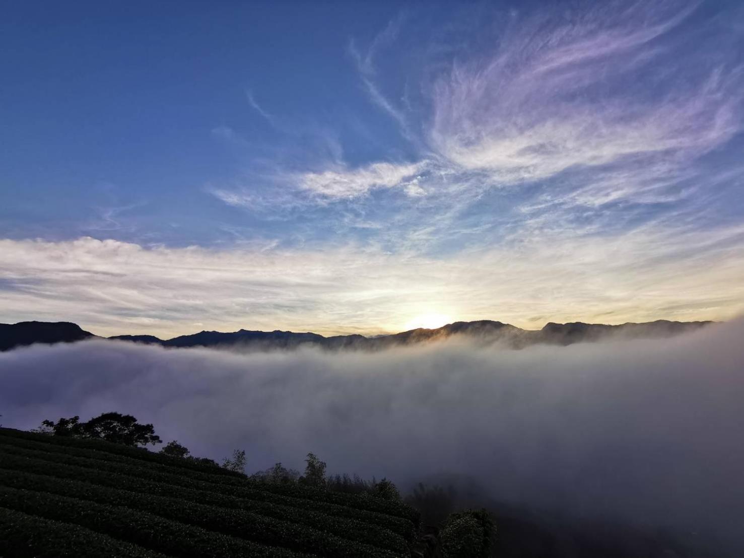 Alishan Tea Garden B&B Fenchihu Zewnętrze zdjęcie