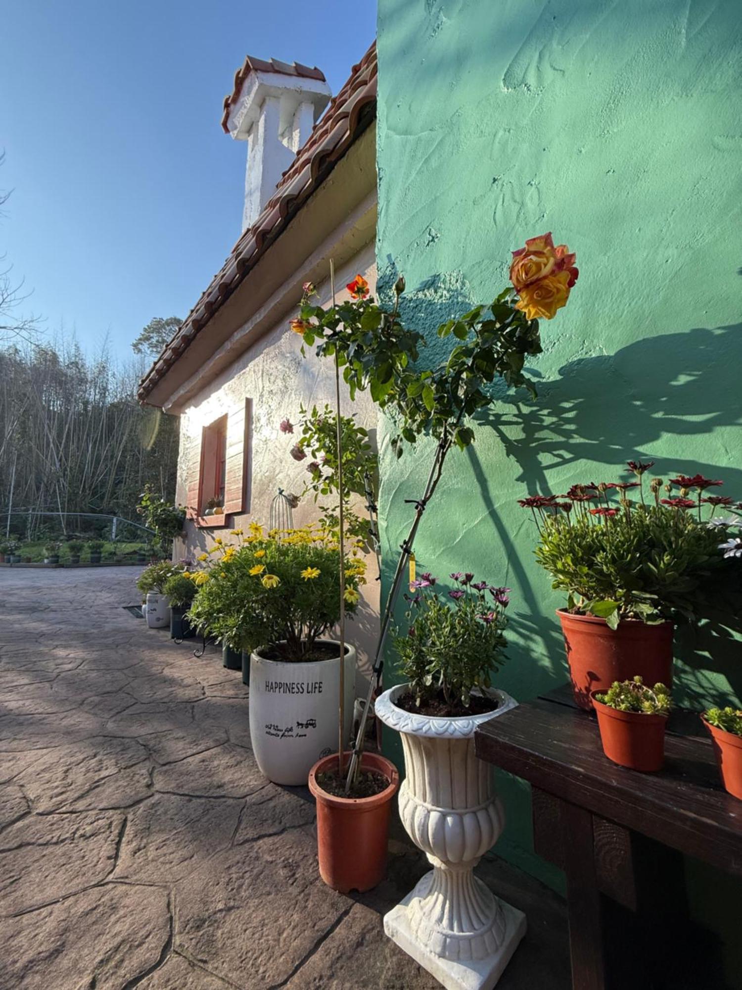 Alishan Tea Garden B&B Fenchihu Zewnętrze zdjęcie