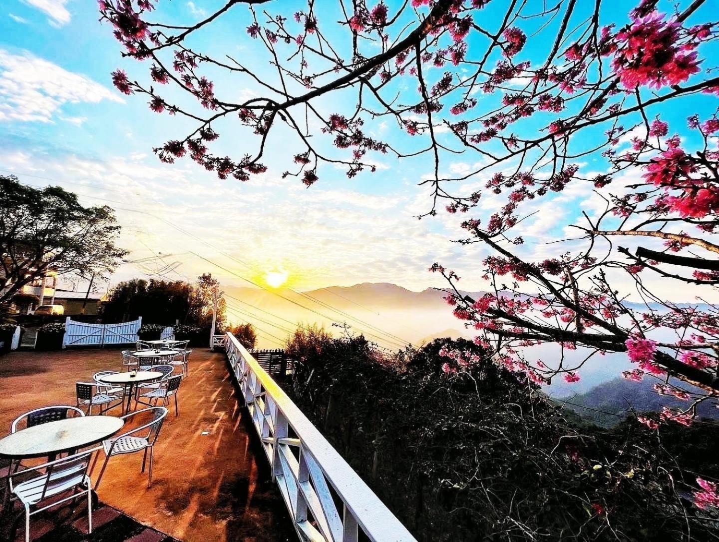 Alishan Tea Garden B&B Fenchihu Zewnętrze zdjęcie