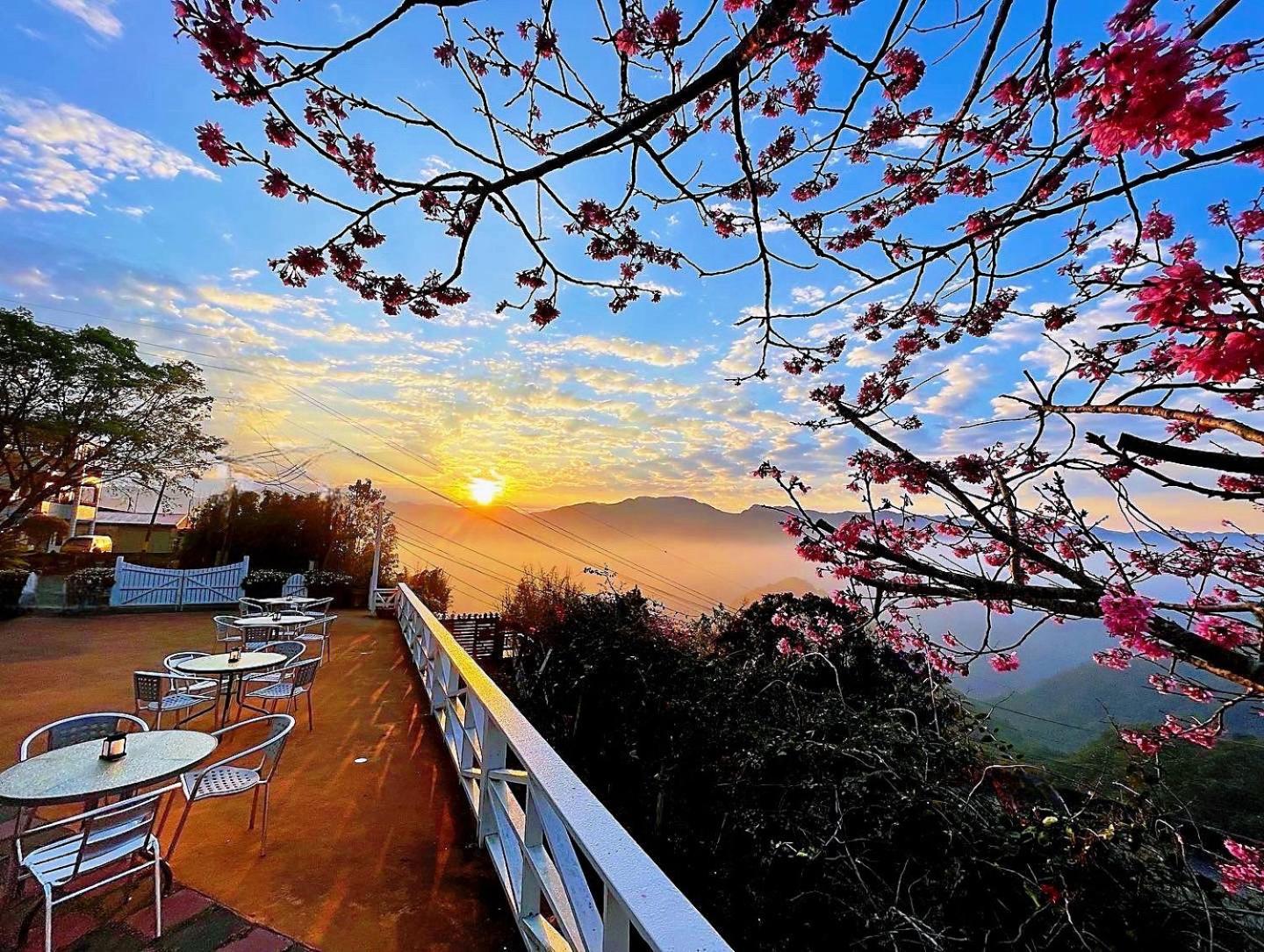 Alishan Tea Garden B&B Fenchihu Zewnętrze zdjęcie