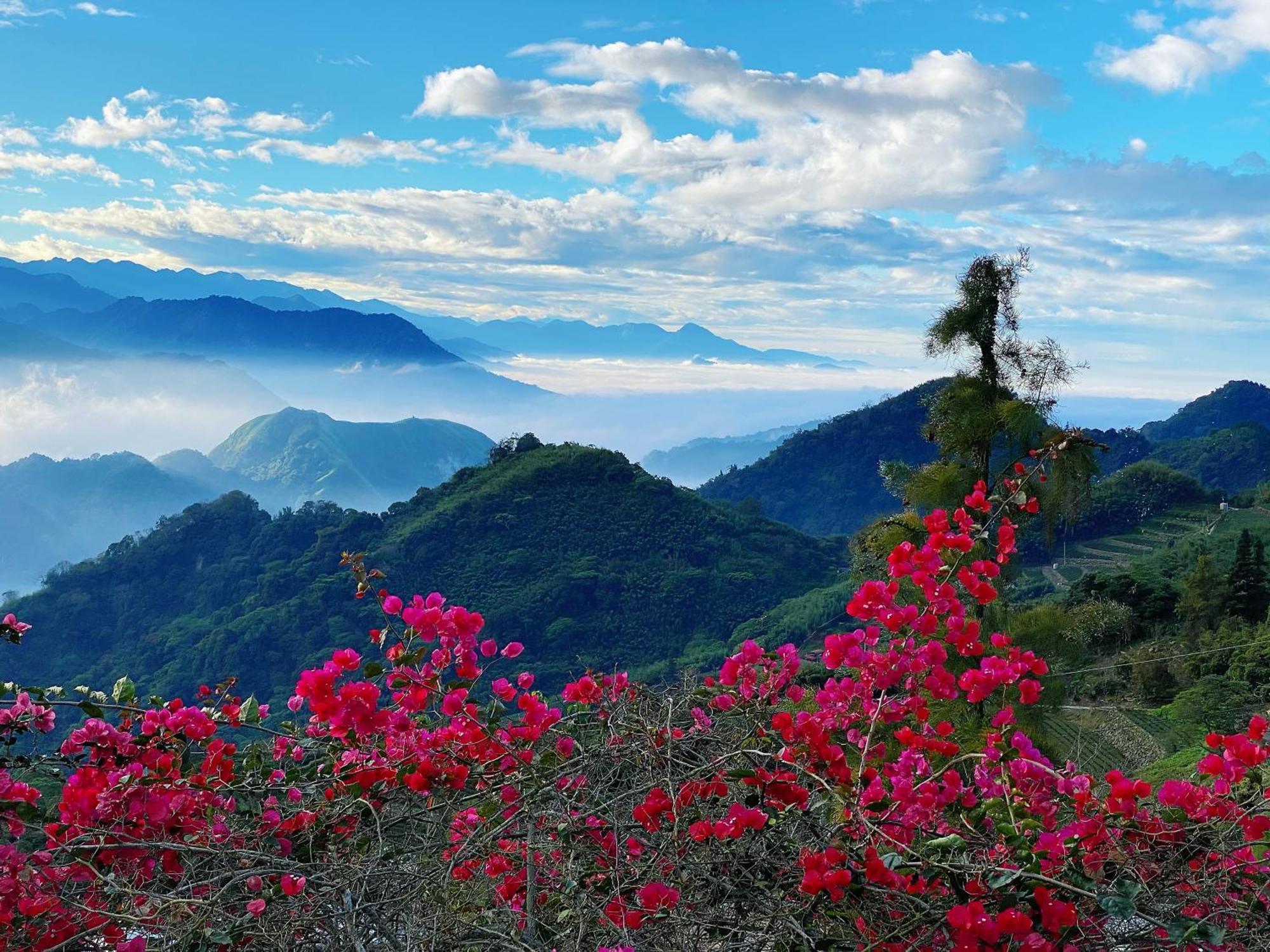 Alishan Tea Garden B&B Fenchihu Zewnętrze zdjęcie